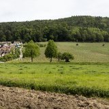 Les agriculteurs obtiennent un sursis d'un an pour les surfaces de promotion de la biodivsersité (archives). KEYSTONE/GAETAN BALLY